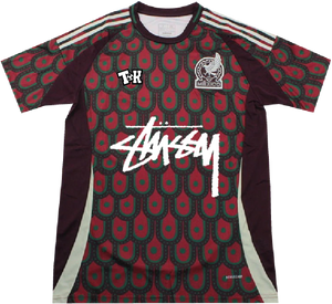 Mexico x STS